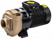 Насос P2000FLO-T150, 30 м3/ч при Н=10м, 1.5 кВт, 380 В, бронза, без префильтра (арт.115201)